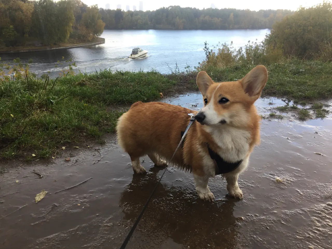 02-Trudi in foreground and a boat on a river in the background.jpg