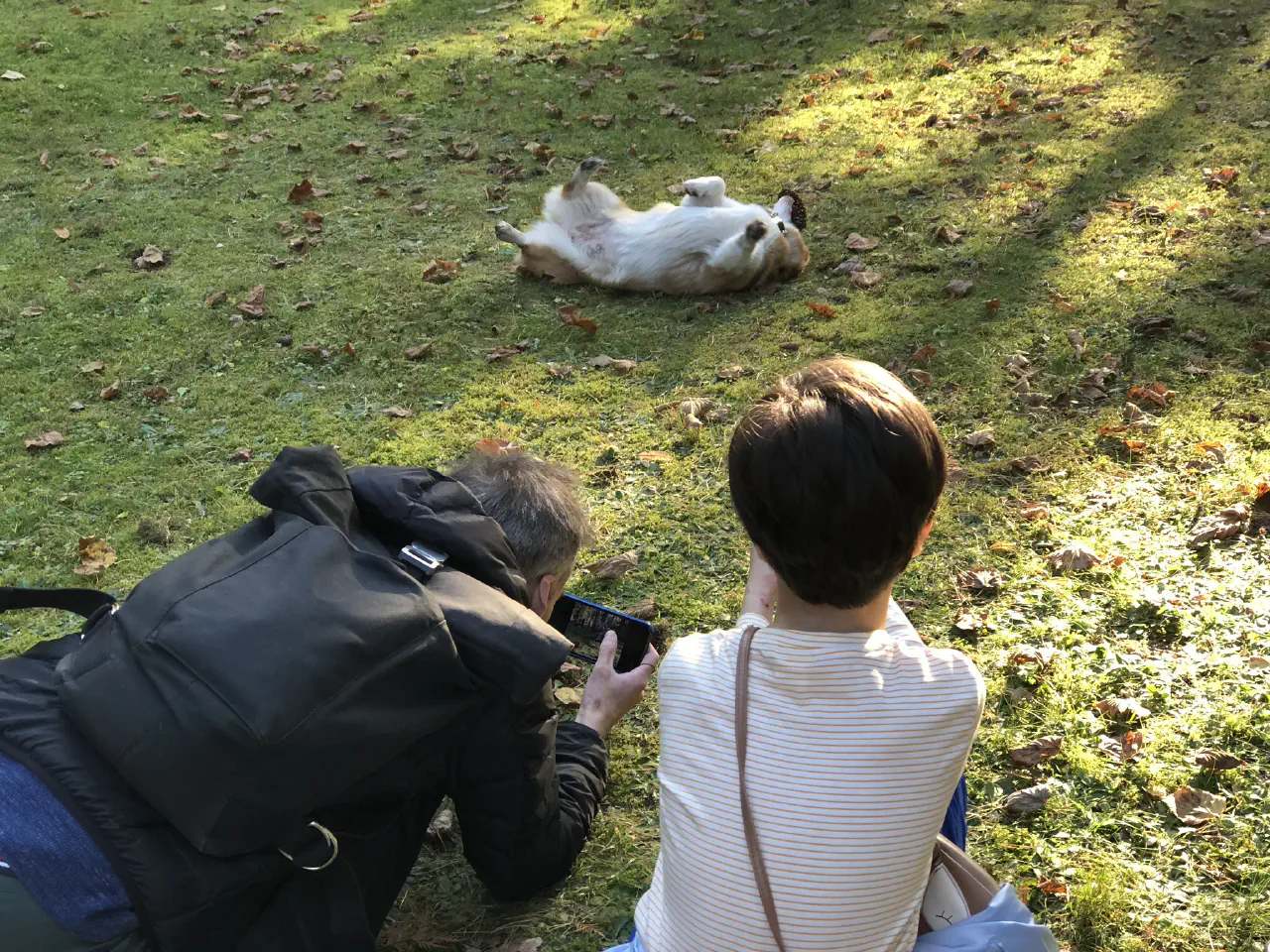 02-Trudy is lying on the grass and being photoed.jpg
