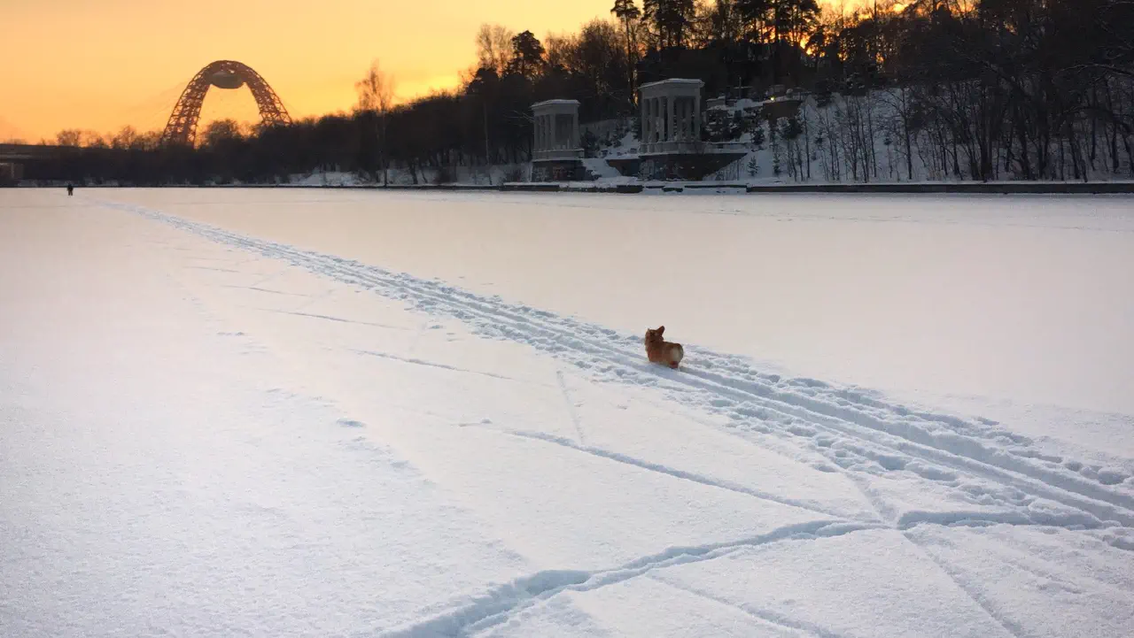 04-Trudi running on a frozen river covered in heavy snow.jpg