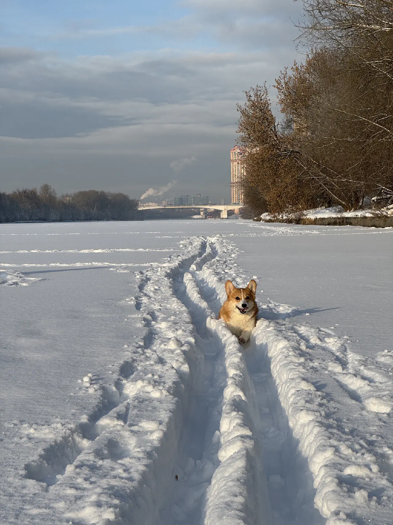 04-Trudi running on a frozen river covered in heavy snow.jpg