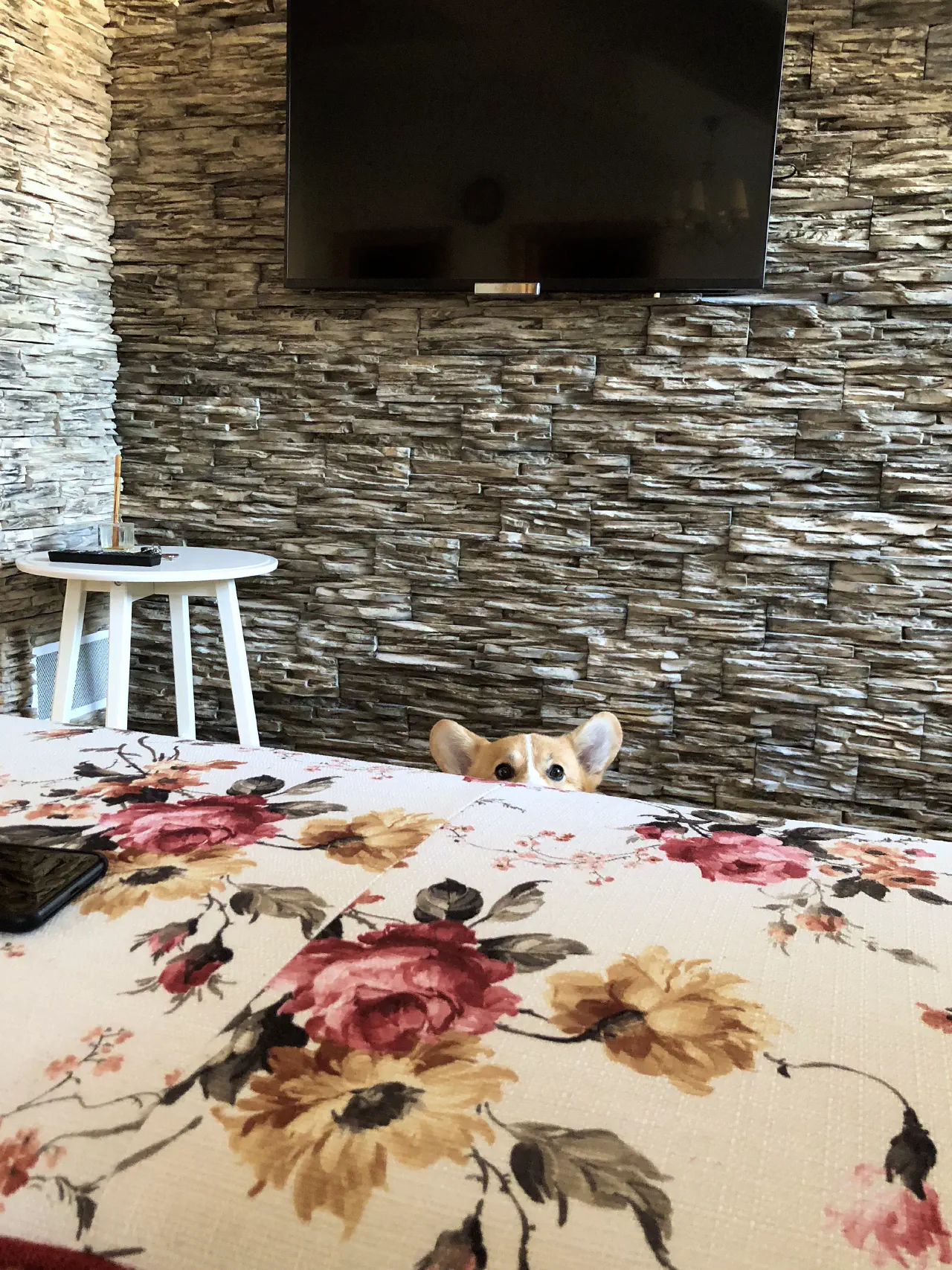 09-Trudy peeks out from behind the sofa.jpg