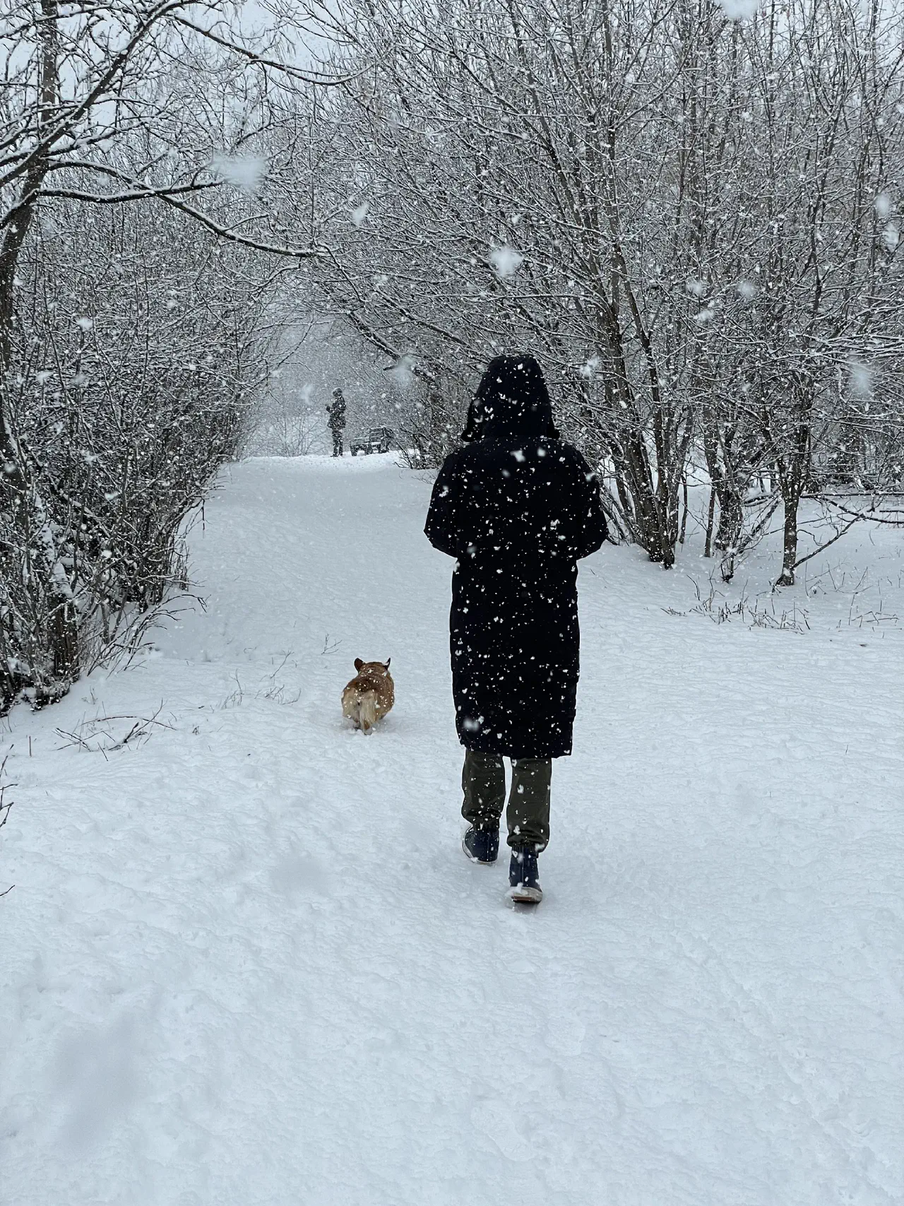 10-Walking with Trudi in heavy snowfall.jpg