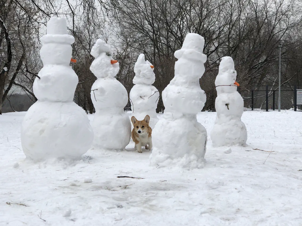 15-Trudi walking cautiously between five snowmans in winter.jpg